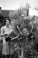 Sept 1949, Mrs. Dreany and Prize Cabbage