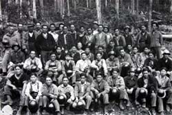 Hillcrest Lumber Sahtlam Fallers, Canadian-born Japanese fallers